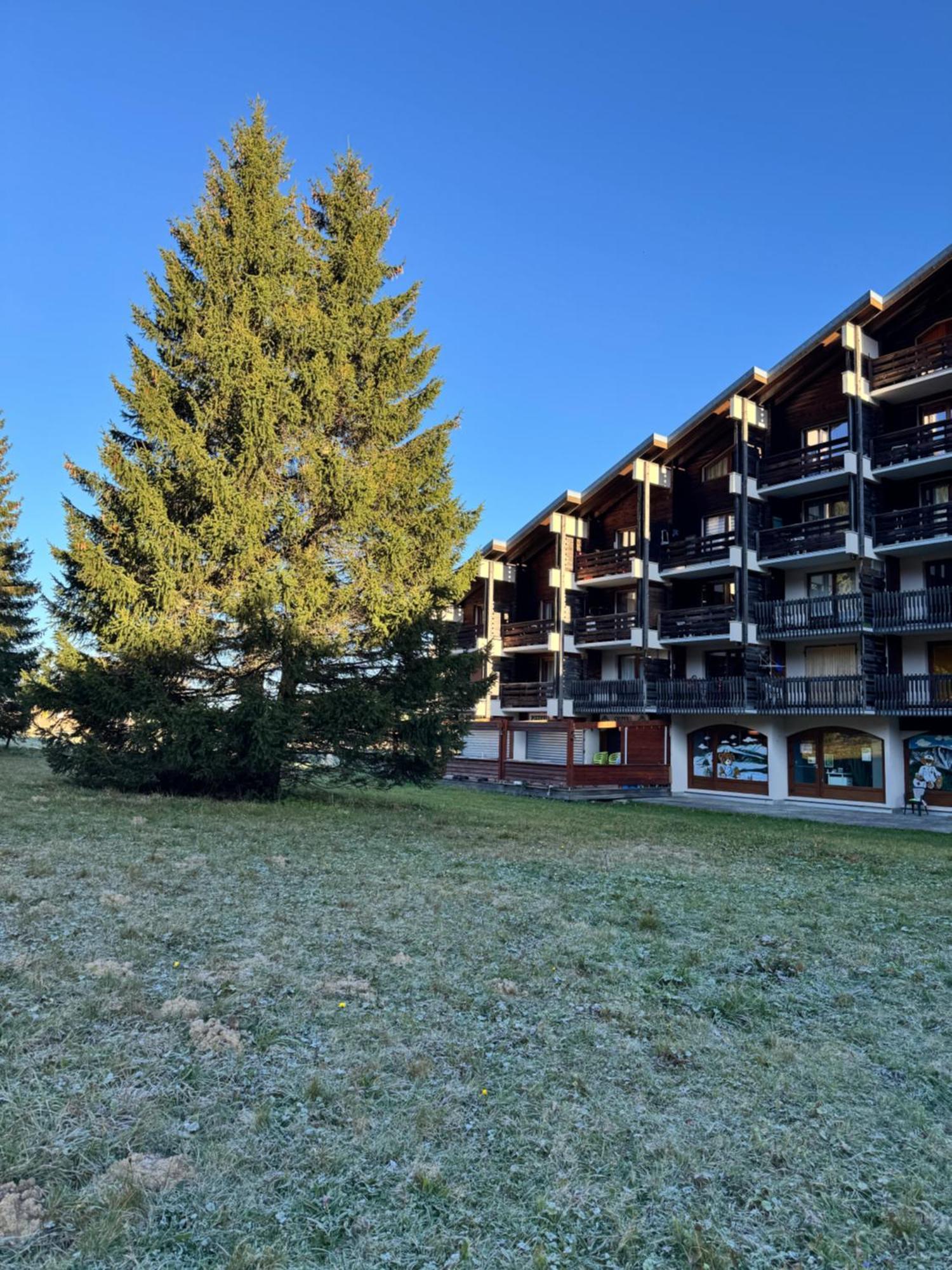 Superbe Studio De Montagne, Au Pied Des Pistes De Ski, Classe 3 Etoiles La Morte Экстерьер фото